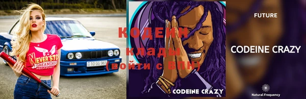 крисы Коряжма