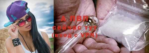 крисы Коряжма