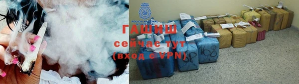 крисы Коряжма