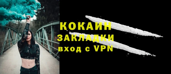крисы Коряжма