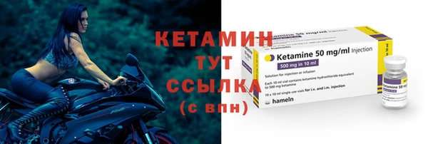 крисы Коряжма