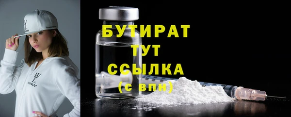 крисы Коряжма