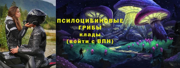 крисы Коряжма