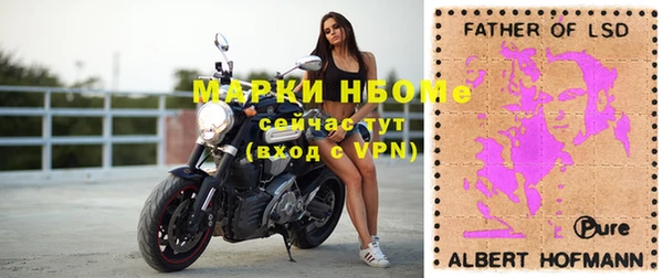крисы Коряжма