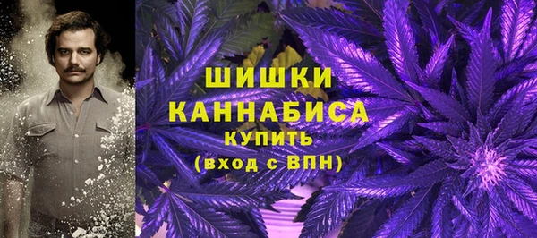 крисы Коряжма