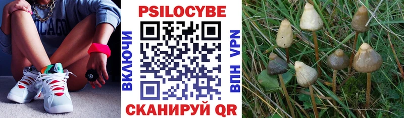 Галлюциногенные грибы ЛСД Артёмовский