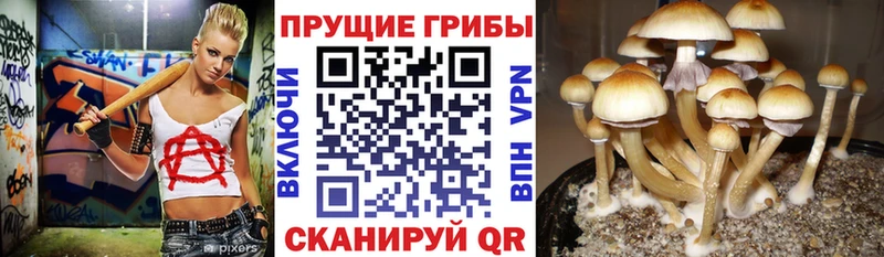 Галлюциногенные грибы мухоморы  Купить закладки  Артёмовский 