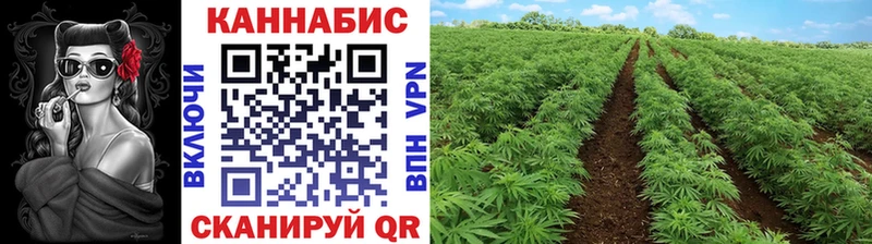 Купить  Артёмовский  Канабис ГИДРОПОН 